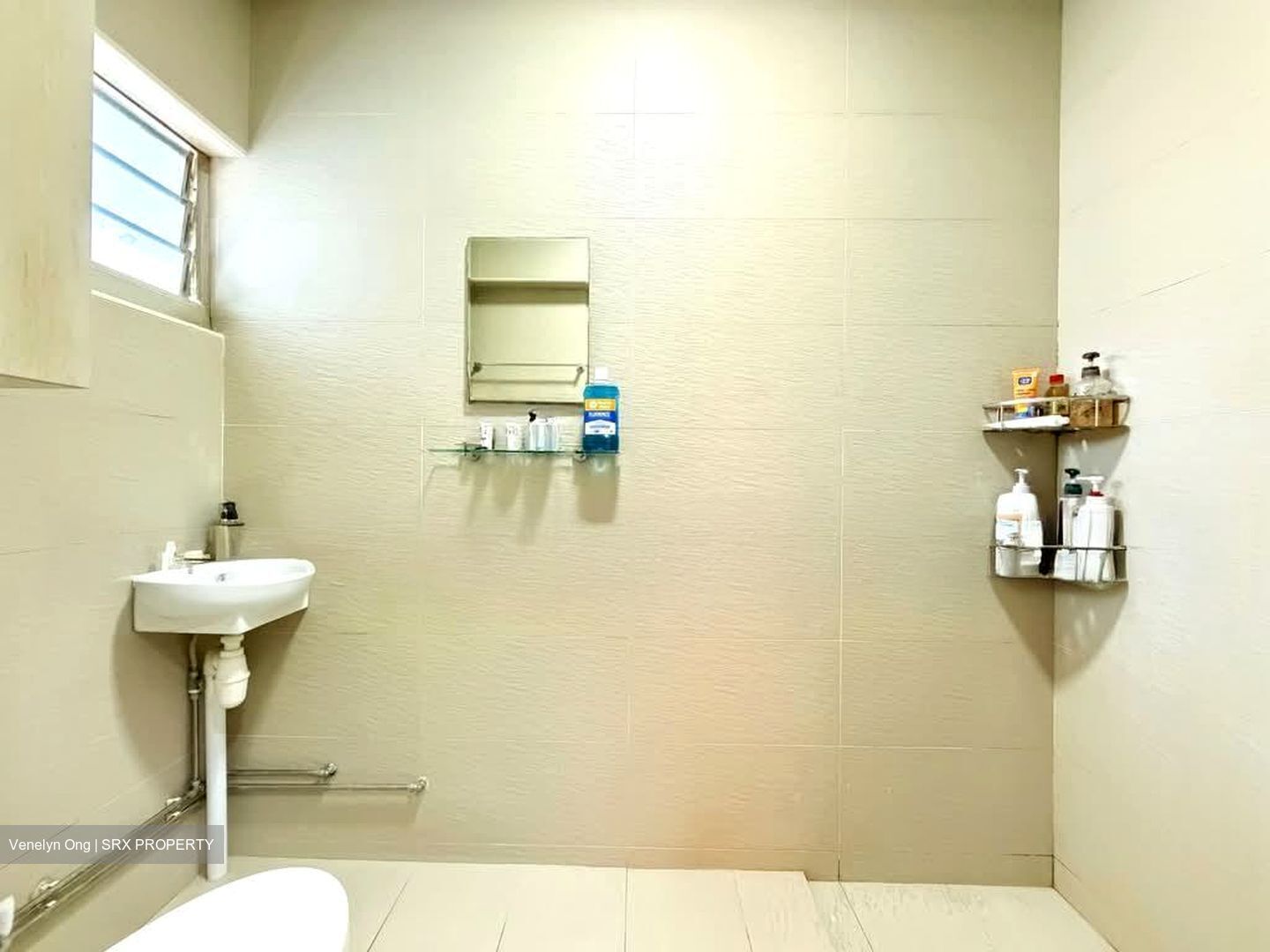 Blk 133 Lorong Ah Soo (Hougang), HDB Executive #531995581